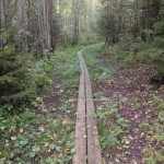 Vaisakko nature trail