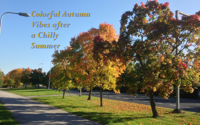Colorful Autumn Vibes after Chilly Summer